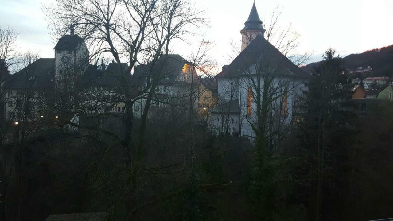 Waldshut Suite In Zentrum Екстериор снимка